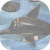 delfin