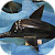 delfin
